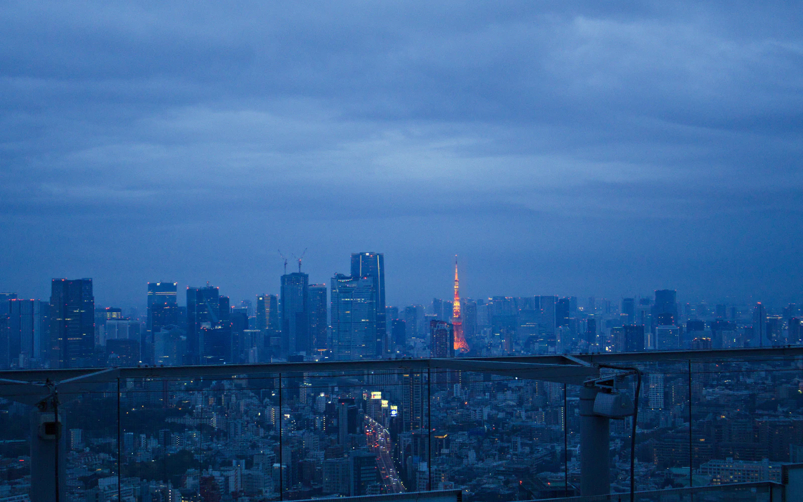 Tokyo Tower glowing above the city beneath a deep blue evening sky